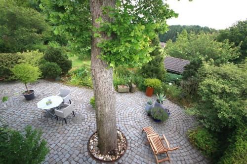 Outdoor Pictures 4