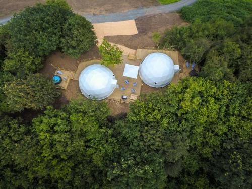 Lets Go Hydro Forest Dome