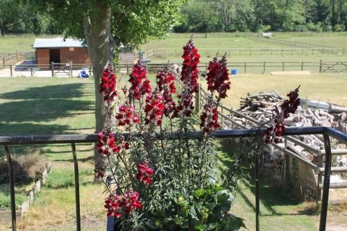 Homelea B & B & Self Catering