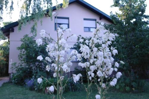 Outdoor Pictures 3