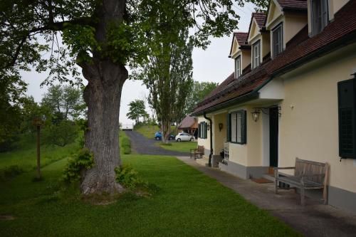 Outdoor Pictures 4