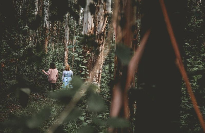 The Lyrebird Guesthouse at Falls Forest Retreat