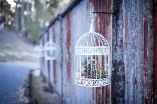 Outdoor Pictures 5