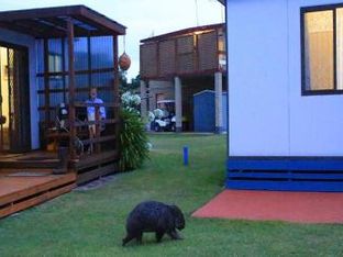 Hotel Image 4