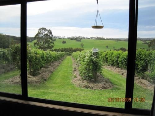 Outdoor Pictures 1