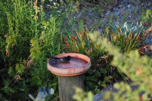 Outdoor Pictures 4