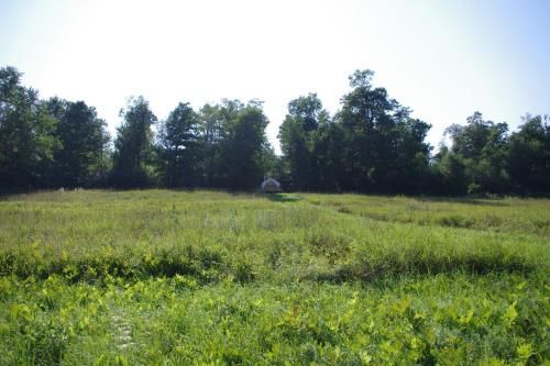 Outdoor Pictures 3