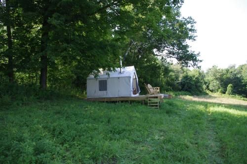 Outdoor Pictures 5