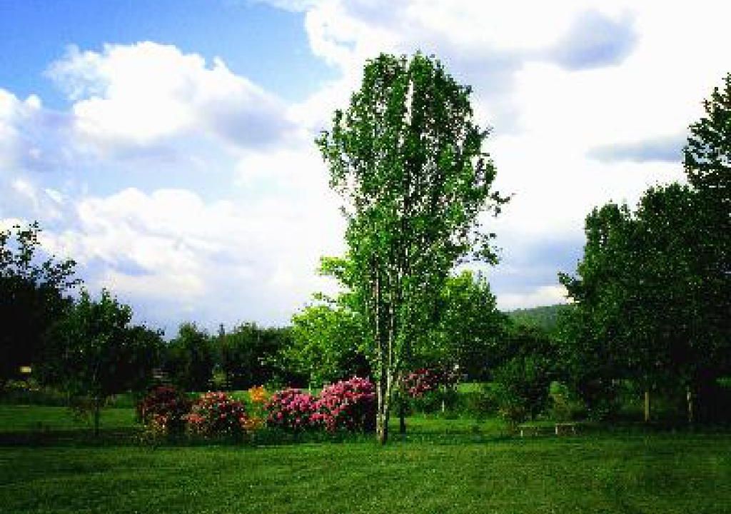 Linville River Log Cabins