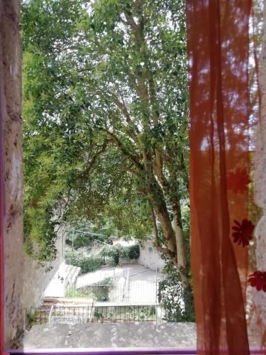 Outdoor Pictures 9