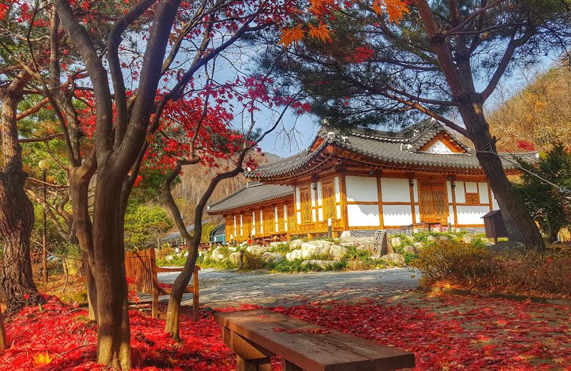 dagagada hanok