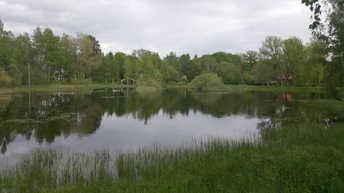Outdoor Pictures 2