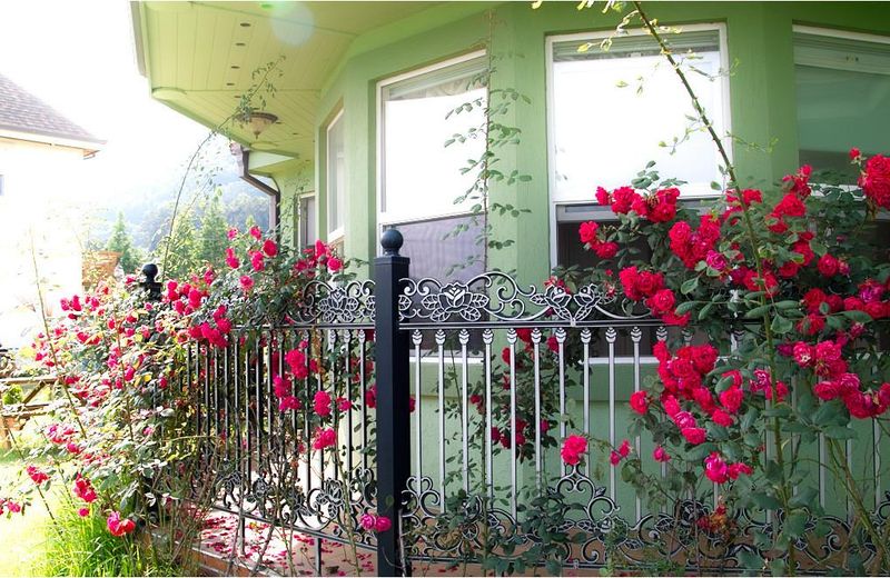 namhe everose pension