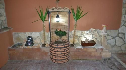 Outdoor Pictures 5