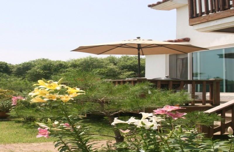 Taean Silverbell Pension