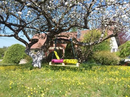 Outdoor Pictures 7