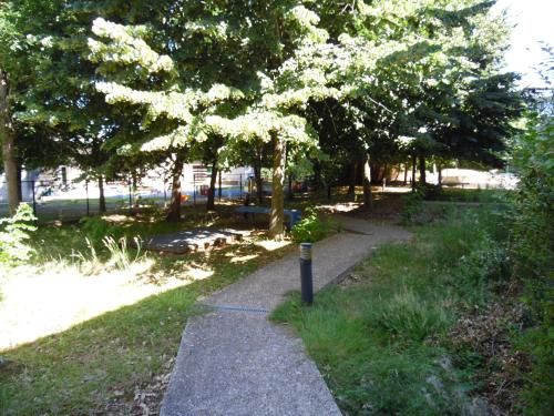 Outdoor Pictures 4