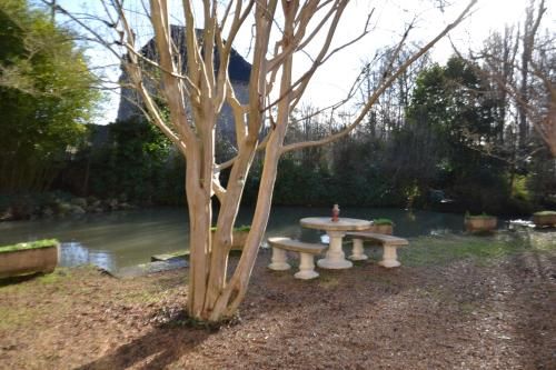 Outdoor Pictures 4