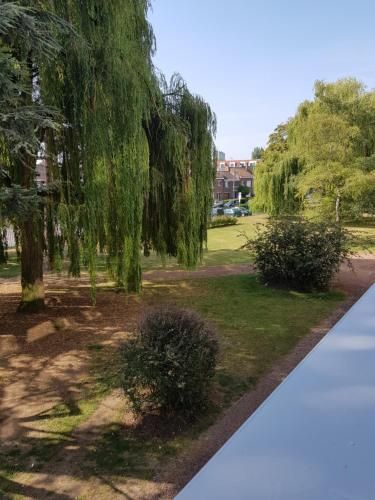 Outdoor Pictures 3