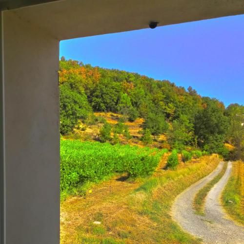 Outdoor Pictures 1