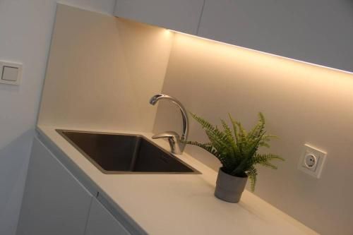 Apartamentos rurales PATXILLABORDA: MENDE