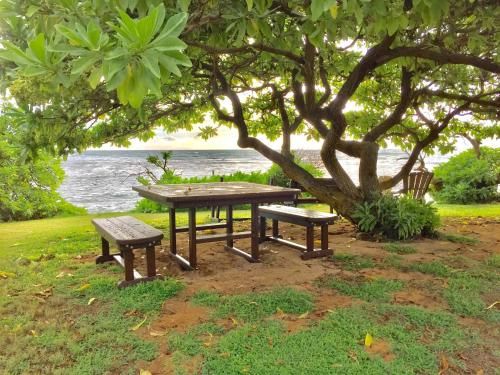 Outdoor Pictures 1