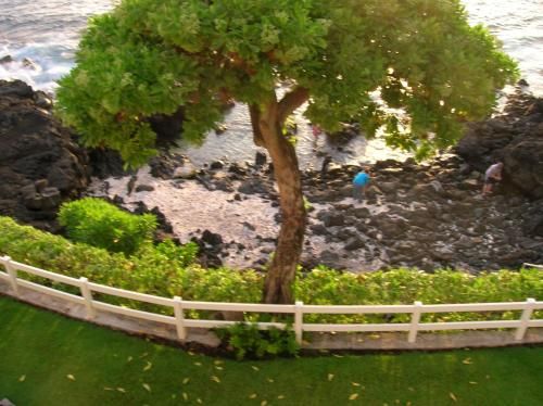 Royal Sea Cliff Condo #103 Oceanfront unit