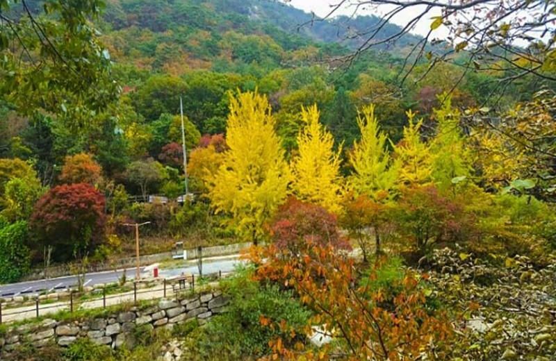 Jecheon Venezia Pension