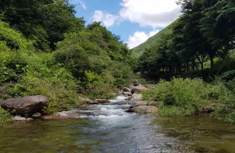 Danyang Bom Pension