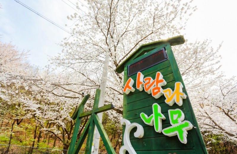Gongju Man and Tree Pension