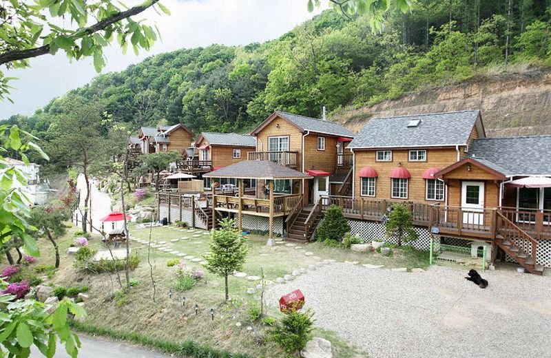 Hongcheon Amorita