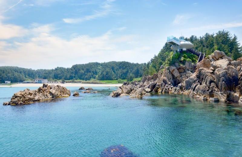 Yangyang Hajodae Conto Hotel Pension