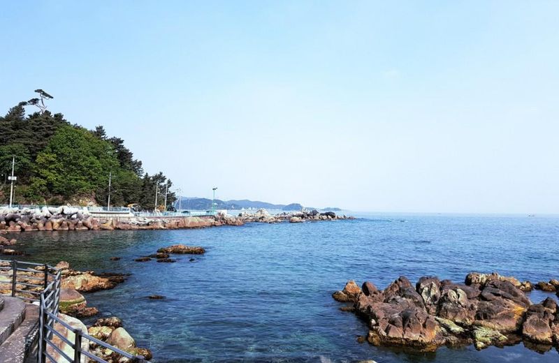 Yangyang Y Pension