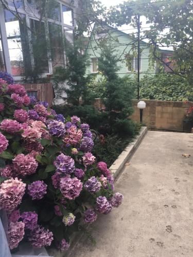 Outdoor Pictures 4