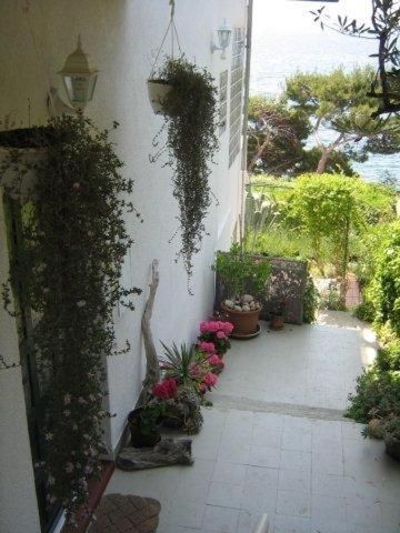 Outdoor Pictures 5