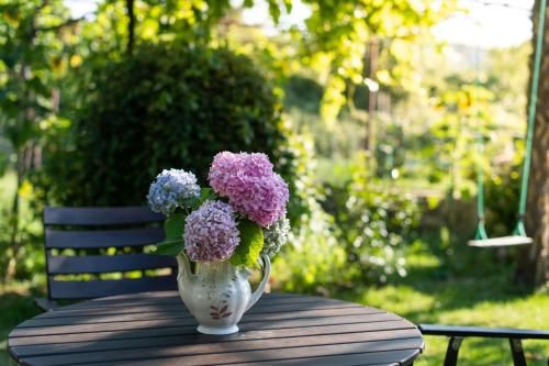 Outdoor Pictures 3