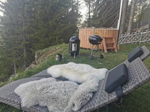 Outdoor Pictures 2