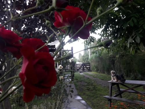 Outdoor Pictures 1