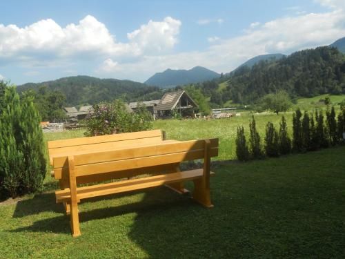 Outdoor Pictures 5