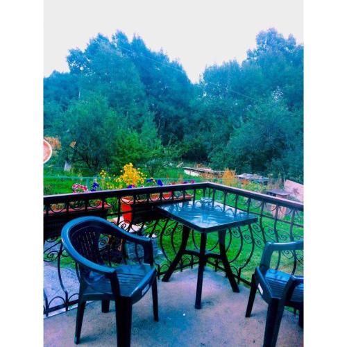 Outdoor Pictures 2