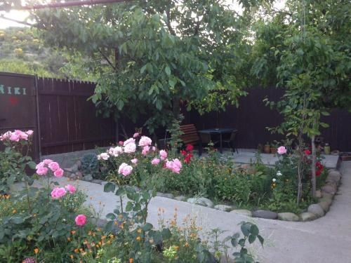 Outdoor Pictures 4