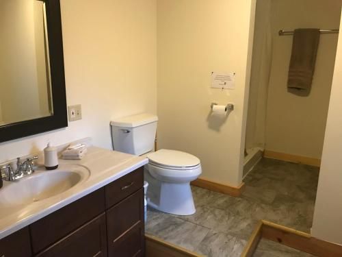 Denali Nightly House Rentals