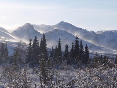 Private Home at Denali