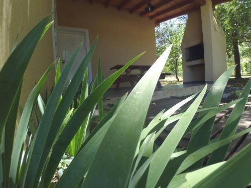 Outdoor Pictures 5