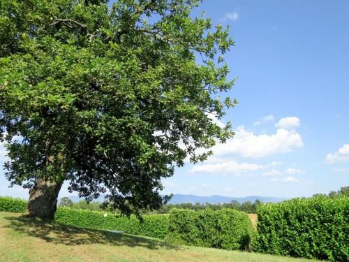 Outdoor Pictures 4