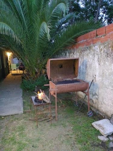 Outdoor Pictures 3