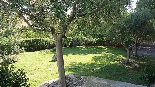Outdoor Pictures 5