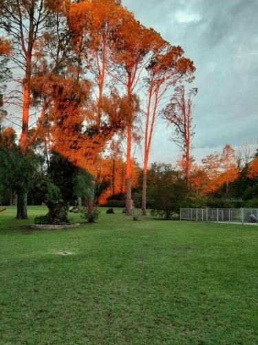 Outdoor Pictures 1
