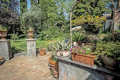 Outdoor Pictures 22