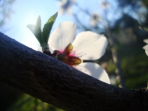 Outdoor Pictures 2